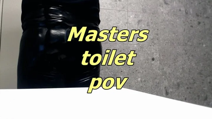 Masters toilet pov