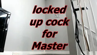 locked up cock for Master