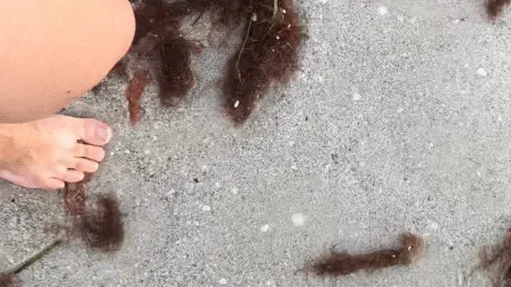 Feet in the sand