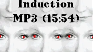 Advanced Induction MP3 (15:54)