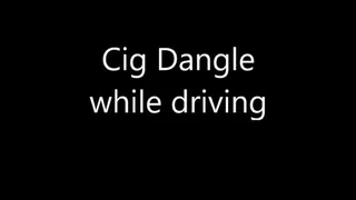 Car Dangle in the Car