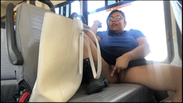 Public Masturbation on bus