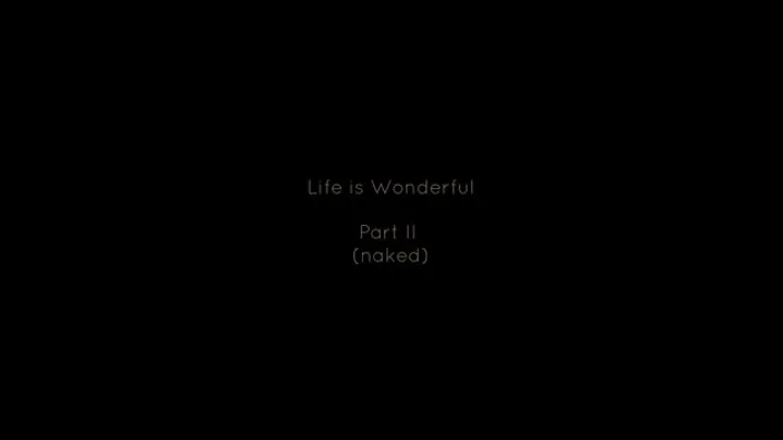 Life is Wonderful - Part II