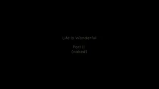 Life is Wonderful - Part II