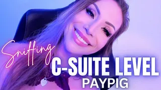 Sniffing C-Suite Level PayPig - Jessica Dynamic