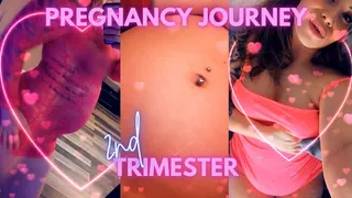 Pregnancy Journey Second Trimester