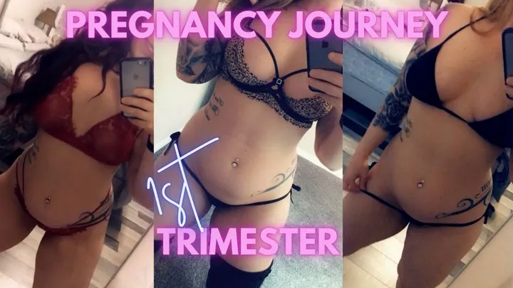 Pregnancy Journey First Trimester