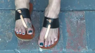 Foot Fetish Honey Bee