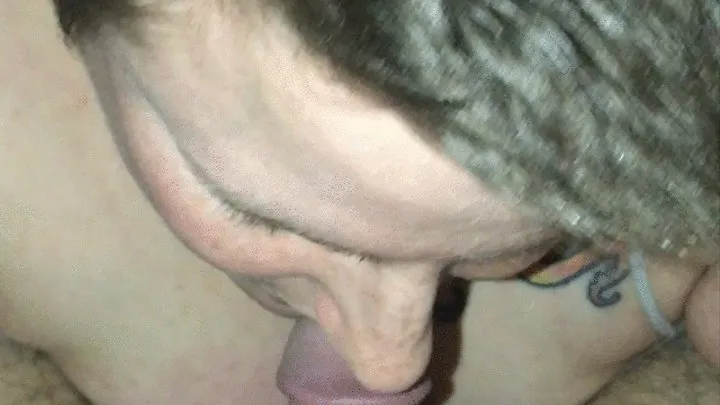 Close up Blowjob Pleasure