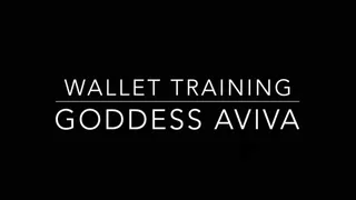 Wallet Training for Subs