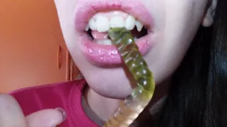 Chewing caterpillars