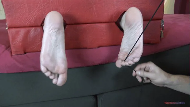 Salem - Soles-up tickling