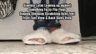 Fuzzy Flip Flop Dipping & Foot Scratching Shoe Play