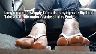 Long unpainted Wiggly Toenails hanging over flip flops Take a car ride under Giantess Lolas Feet