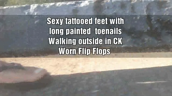 Sexy tattooed feet with long painted toenails Walking outside in CK well Worn Flip Flops