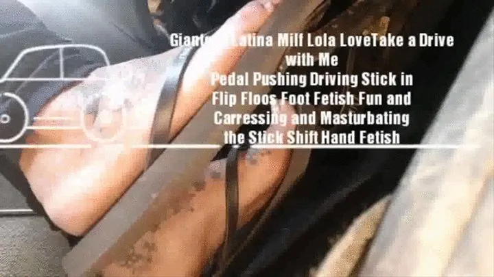 Giantess Latina Milf Lola LoveTake a Drive with Me Pedal Pushing Driving Stick in Flip Floos Foot Fetish Fun and Carressing and Masturbating the Stick Shift Hand Fetish