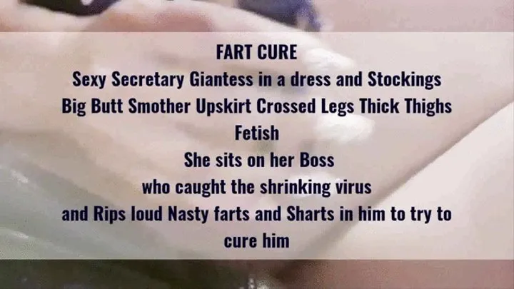 FART CURE Sexy Secretary Giantess in a dress and Stockings Big Butt Smother Upskirt Crossed Legs Thick Thighs Fetish She sits on her Boss who caught the shrinking virus and Rips loud Nasty farts and Sharts in him to try to cure him mkv