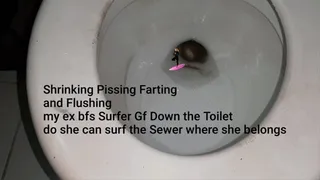 Shrinking Pissing Farting and Flushing my ex bfs Surfer Gf Down the Toilet do she can surf the Sewer where she belongs Giantess Lola vs SurferGirl Lolas bf left her for a SurferGirl So she invited her for dinner to be friends but she put shrink pills in h