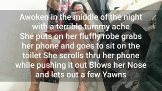 Tired milf Awoken in the middle of the night with a terrible tummy ache She puts on her fluffly robe grabs her phone and goes to sit on the toilet She scrolls thru her phone while pushing it out Blows her Nose and lets out a few Yawns toilet fetish