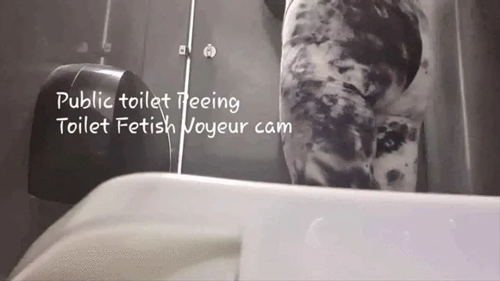 PUBLIC TOILET VOYEUR CAM TOILET FETISH PEEING CAM mkv