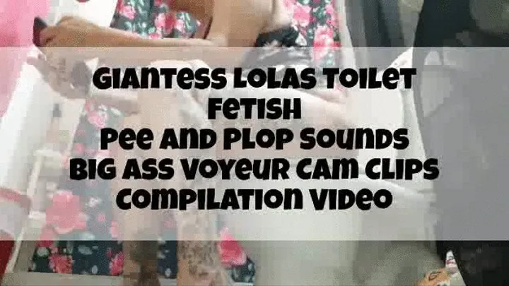 Giantess Lolas Toilet Fetish Pee and Plop Sounds Big Ass Voyeur Cam Clips Compilation Video mkv