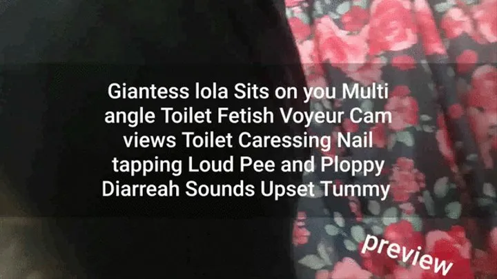 Daily Dump Diarreah Toilet Fetish Giantess lola Sits on you Multi angle Toilet Fetish Voyeur Cam views Toilet Caressing Nail tapping Loud Pee and Ploppy Diarreah Sounds Upset Tummy