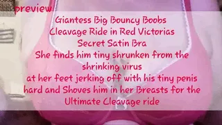 Giantess Big Bouncy Boobs Cleavage Ride in Red Victorias Secret Satin Bra She finds him tiny shrunken from the shrinking virus at her feet jerking off with his tiny penis hard and Shoves him in her Breasts for the Ultimate Cleavage ride mkv