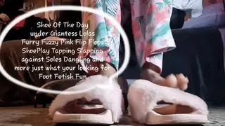 Shoe Of The Day under Giantess Lolas Furry Fuzzy Pink Flip Flops ShoePlay Tapping Slapping against Soles Dangling and more just what your looking for Foot Fetish Fun