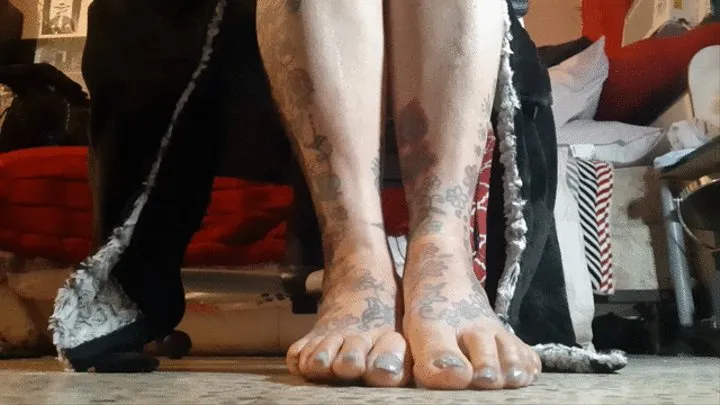 Under Giantess Lola unaware you are there Tattooed Long legs and Sexy Slippers Toe knuckle cracking and furry slipper shoeplay AsMr sounds