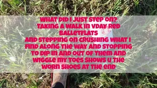 What did i just step on? Taking a walk in vday red balletflats and stepping on crushing what i find along the way and stopping to dip in and out of them and wiggle my toes Shows u the worn shoes at the end