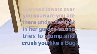 Giantess towers over you unaware you are there under her feet in her garden so she tries to stomp and crush you like a Bug