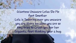 Giantess Unaware Lolas Slo Mo foot Smother Lola is Towering over you unaware you are there because you are so tiny tries to Crush you her her Gigantic feet thinking your a bug