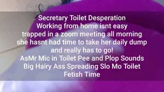 Giantess Lolas Secretary Toilet Desperation Working from home isnt easy trapped in a zoom meeting all morning she hasnt had time to take her daily dump and really has to go! AsMr Mic in Toilet Pee and Plop Sounds Big Hairy Ass Spreading Slo Mo Toilet Feti