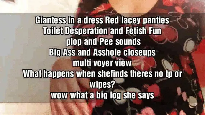 Giantess in a dress Red lacey panties Toilet Desperation and Fetish Fun plop and Pee sounds Big Ass and Asshole closeups multi voyer view What happens when shefinds theres no tp or wipes? wow what a big log she says