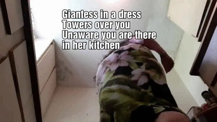 Giantess in a dress Towers over you Unaware you are there in her kitchen spying on her