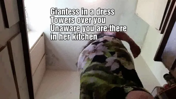 Giantess in a dress Towers over you Unaware you are there in her kitchen spying on her mkv