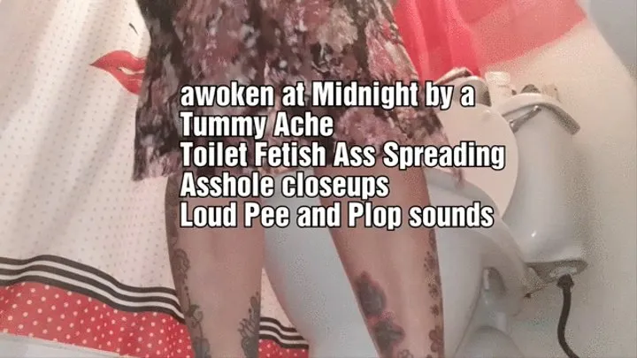 Awoken at Midnight by a Tummy Ache Toilet Fetish Ass Spreading Asshole closeups Loud Pee and Plop sounds mkv