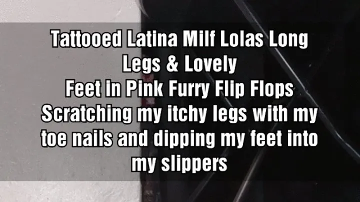 Tattooed Latina Milf Lolas Long Legs & Lovely Feet in Pink Furry Flip Flops Scratching my itchy legs with my toe nails and dipping my feet into my slippers