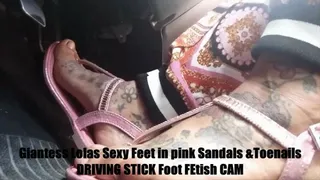 Giantess Lolas Sexy Feet in pink Sandals and pink toenails driving stick Take a DRive With Me pedal pushing playtime
