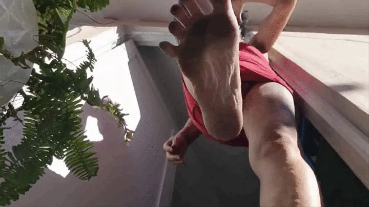 Shrinking fetish you are tiny trapped under Giantess unaware upskirt pov latina milfs Stomping Sexy Soles crushing you and Squatting Upskirt as she Scratches her Sweaty Smelly Moist Milf bush thru Wet Panties as she sits and smothers you in them