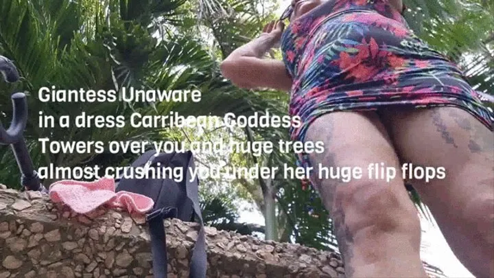 Giantess Unaware in a dress Carribean Goddess Towers over you and huge trees almost crushing you under her huge flip flops