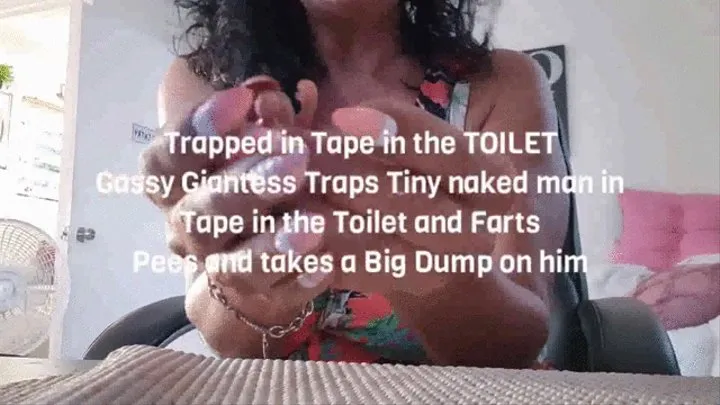 Trapped in Tape in the TOILET Gassy Giantess Traps Tiny naked man in Tape in the Toilet and Farts Pees and takes a Big Dump on him