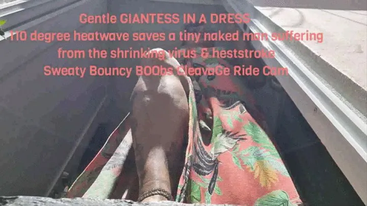 Gentle GIANTESS IN A DRESS 110 degree heatwave saves a tiny naked man suffering from the shrinking virus & heatstroke Sweaty Bouncy BOObs CleavaGe Ride Cam