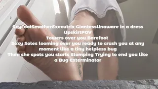 SxyFootSmotherExecutrix GiantessUnaware in a dress UpskirtPOV Towers over you Barefoot Sexy Soles looming over you ready to crush you at any moment like a tiny helpless bug Then she spots you starts Stomping Trying to end you like a Bug Exterminator mkv