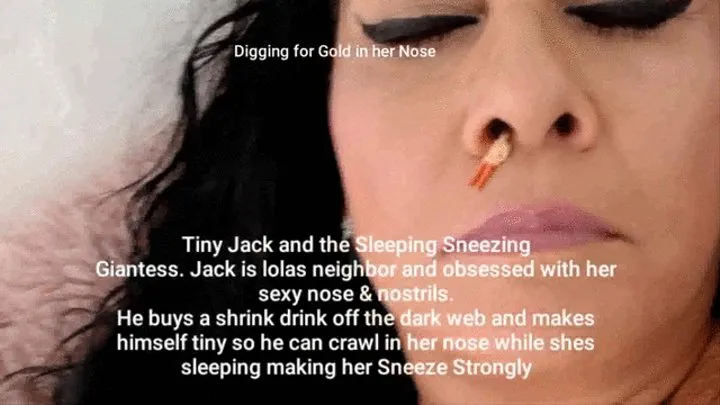 Tiny Jack and the Napping Sneezing Giantess Jack is lolas neighbor and obsessed with her sexy nose & nostrils He buys a shrink drink off the dark web and makes himself tiny so he can crawl in her nose while shes napping making her Sneeze Strongly