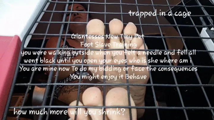 Trapped and Giantesses New Tiny Pet Foot Slave Training you were walking outside when you felt a needle and fell all went black until you open your eyes who is she where am i You are mine now To do my bidding or face the consequences You might enjoy it