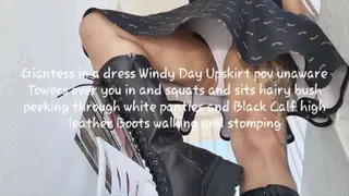 Giantess in a dress Windy Day Upskirt pov unaware Towers over you in and squats and sits hairy bush peeking through white panties and Black Calf high leather Boots walking and stomping mkv