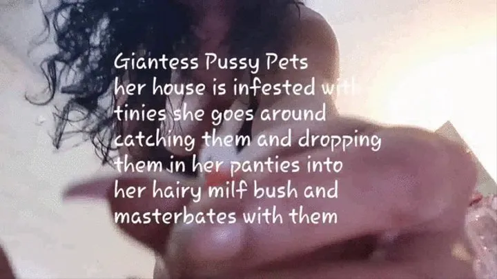 Giantess Pussy Pets her house is infested with tinies she goes around catching them and dropping them in her panties into her hairy bush and masturbates with them mkv
