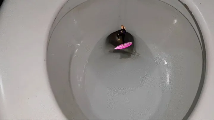 Giantess Lola invites her Ex Boyfriends Surfer GF for coffee and puts a shrinking potion in it Making her tiny and helpless throwing her into the toilet and Peeing on her So She can Ride a Wave of Piss and Flushing her into the sewer