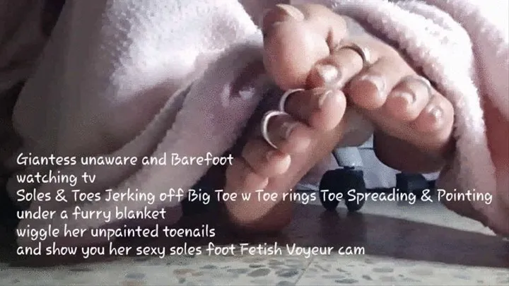 Giantess unaware and Barefoot watching tv Soles & Toes Jerking off Big Toe w Toe rings Toe Spreading & Pointing under a furry blanket wiggle her unpainted toenails and show you her sexy soles foot Fetish Voyeur cam mkv